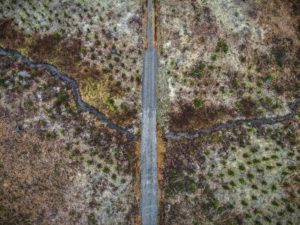 Aerial photo of firs and stream in Silver Falls, Oregon